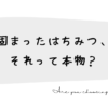 固まったはちみつ、それって本物？