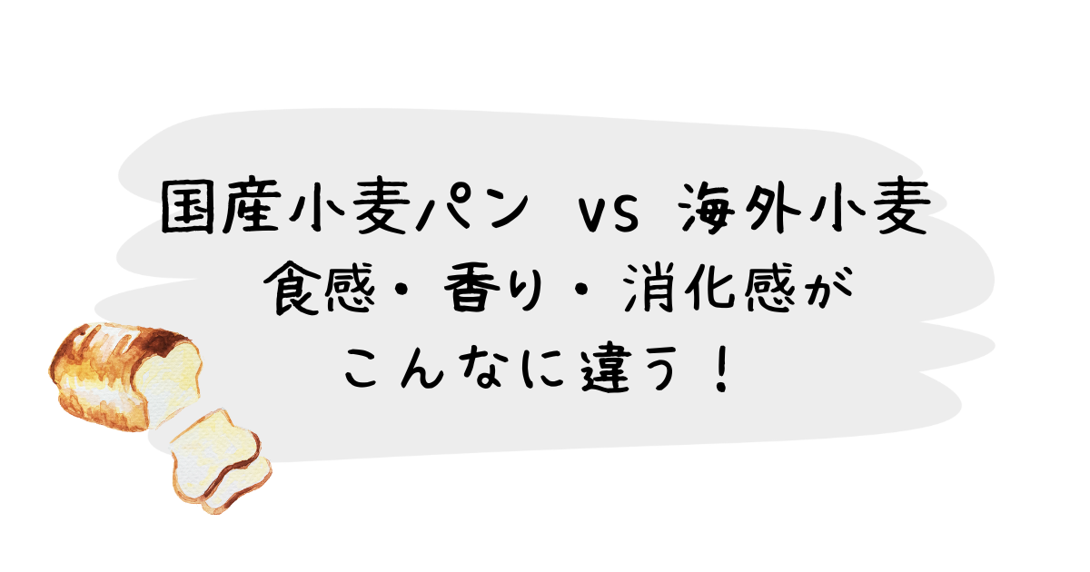 国産小麦パン vs 海外小麦 食感・香り・消化感がこんなに違う！