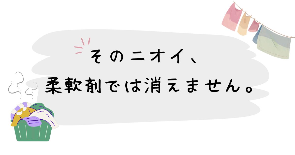 そのニオイ、 柔軟剤では消えません。
