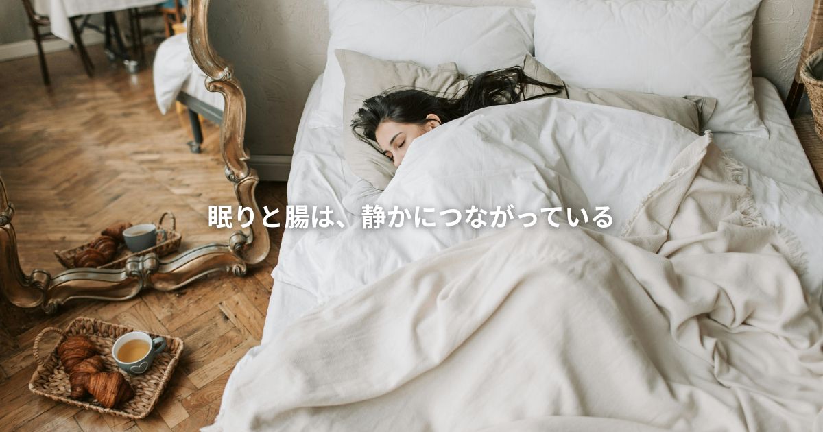 眠りと腸は、静かにつながっている